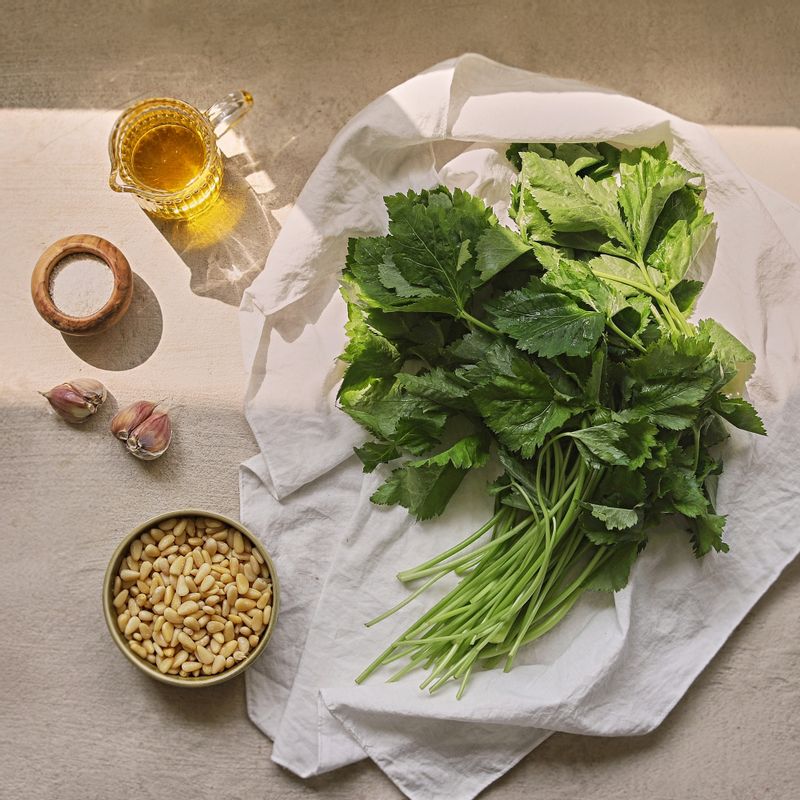 비건 참나물 페스토을 위한 재료 이미지로 참나물,잣 (또는 캐슈넛),마늘,올리브오일 (엑스트라버진),소금 등으로 구성 되어있습니다.