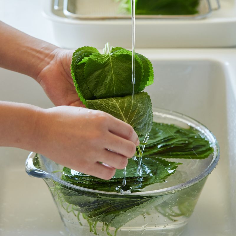 소금 1작은술을 물에 녹인 후 깻잎을 넣고 2~3분 두었다가 흐르는 물에 깨끗이 씻어주세요.