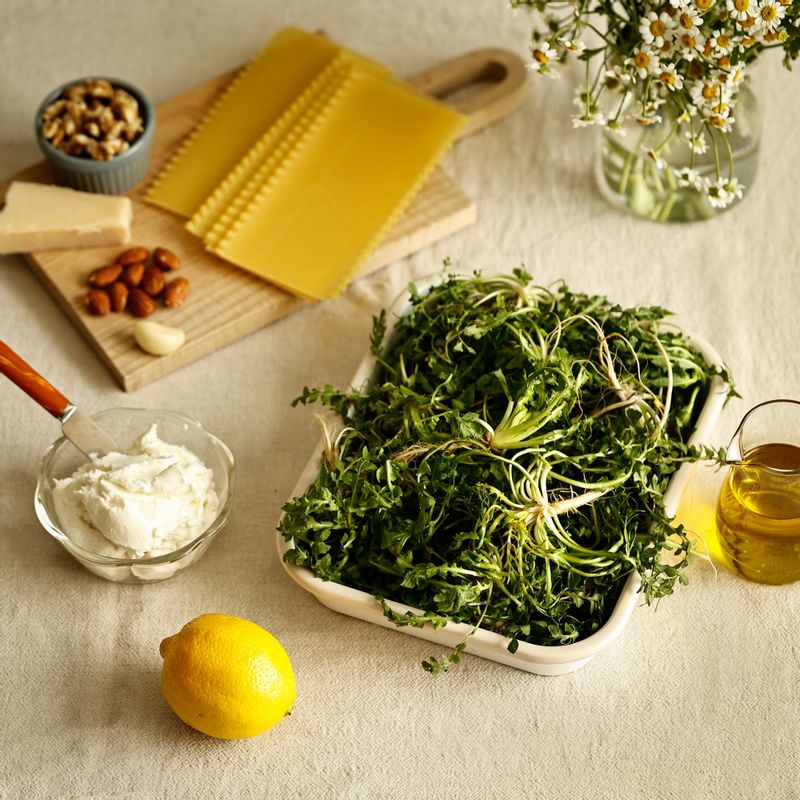 냉이페스토 라자냐롤을 위한 재료 이미지로 라자냐 면,리코타치즈,물,소금,파르미지아노 레지아노 치즈 등으로 구성 되어있습니다.