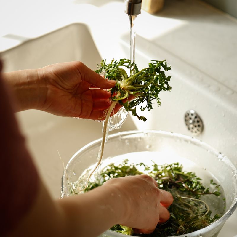 냉이는 뿌리와 줄기를 연결하는 부분의 흙을 칼로 긁어내고, 누런 잎은 떼어내주세요. 냉이를 흐르는 물에 여러 번 흔들어 씻어준 후 끓는 물에 15~20초 정도 데쳐주세요. 데친 냉이는 물기를 제거한 후 적당한 크기로 썰어주세요.