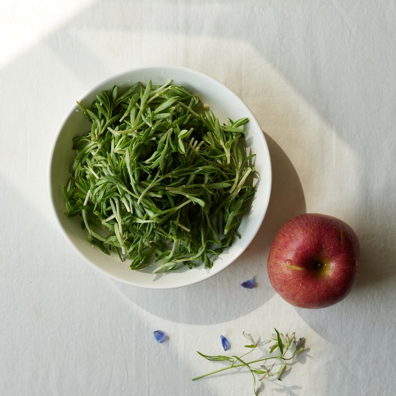 돌나물 사과무침을 위한 재료 이미지로 돌나물,사과 등으로 구성 되어있습니다.