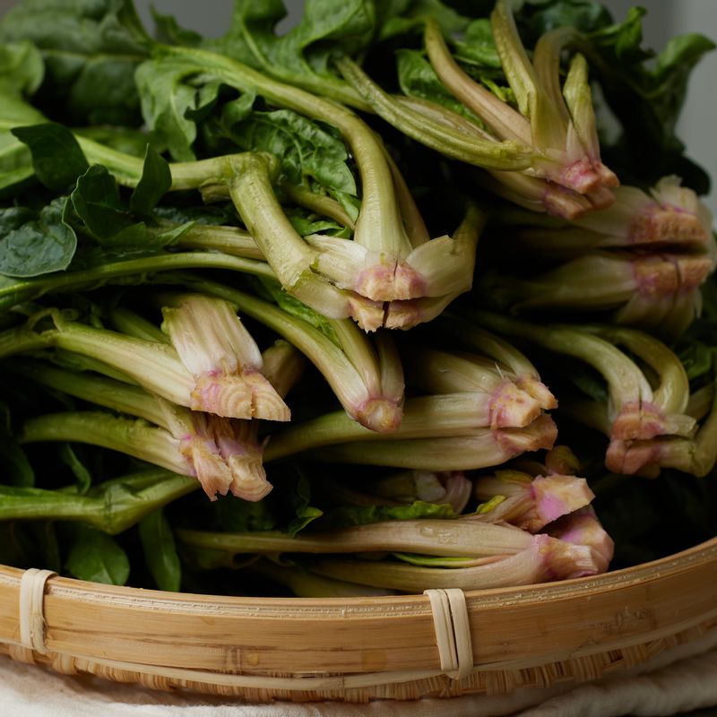 시금치는 깨끗이 씻어 밑동을 손질하고 십자 모양으로 칼집을 넣어주세요.