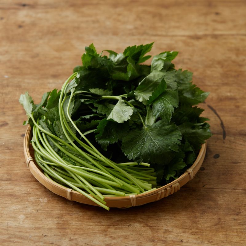 참나물 무침을 위한 재료 이미지로 참나물,통마늘,대파 흰부분 등으로 구성 되어있습니다.