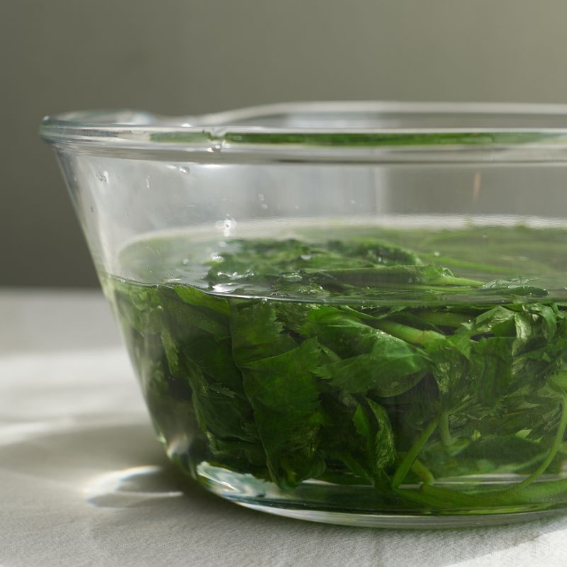 찬물에 담가 헹군 후 물기를 가볍게 짜고 먹기 좋게 썰어주세요.