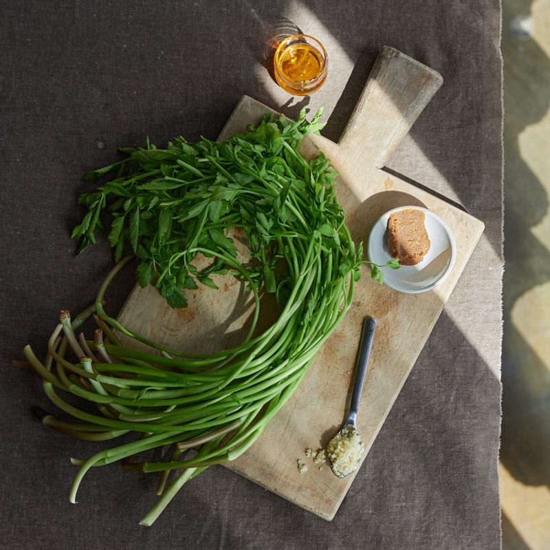 미나리 된장무침을 위한 재료 이미지로 미나리,홍고추,소금 등으로 구성 되어있습니다.