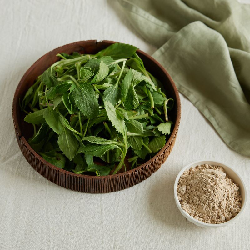 부지깽이 도토리부침개을 위한 재료 이미지로 부지깽이,식용유 등으로 구성 되어있습니다.