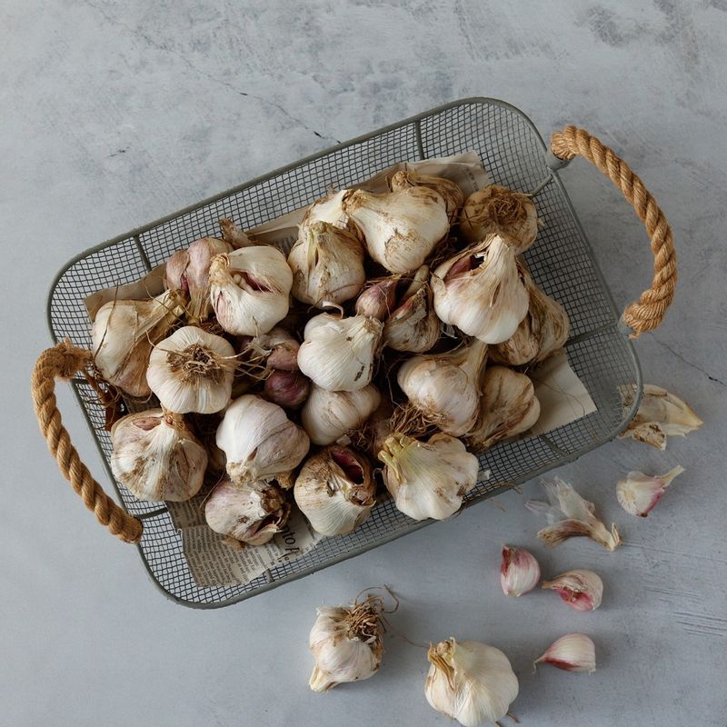 통마늘 버터구이을 위한 재료 이미지로 통마늘,녹인 버터,소금,후춧가루,타임 등으로 구성 되어있습니다.