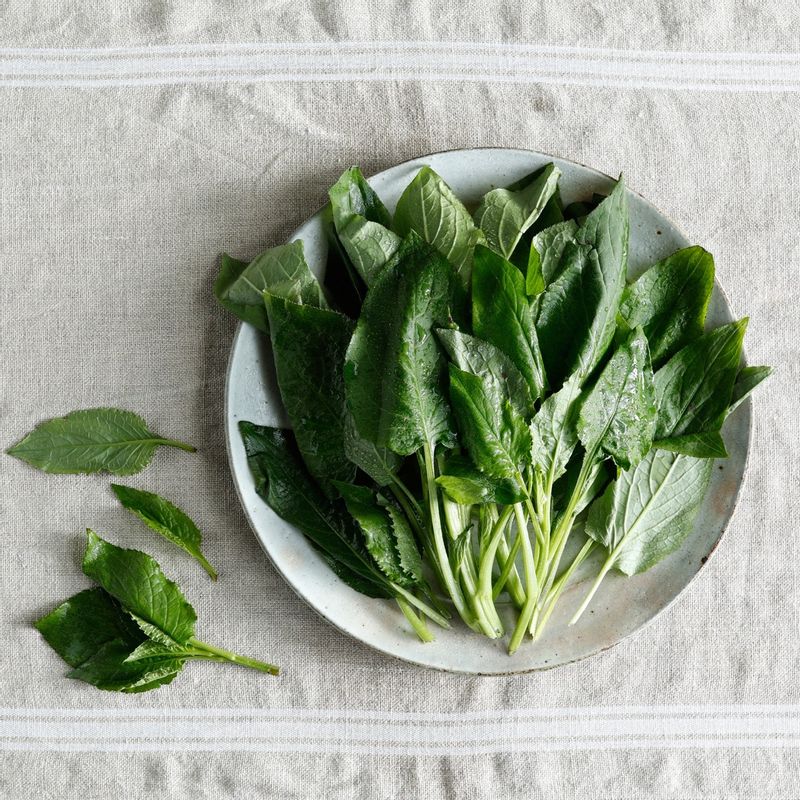 곤드레전을 위한 재료 이미지로 생 곤드레,식용유,소금 등으로 구성 되어있습니다.