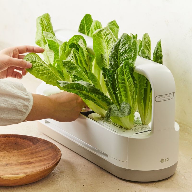 빵의 안쪽 면에 소스를 바르고 로메인, 토마토, 닭가슴살 순으로 올려 샌드위치를 완성해 주세요. 먹기 좋은 크기로 잘라 맛있게 즐겨주세요.