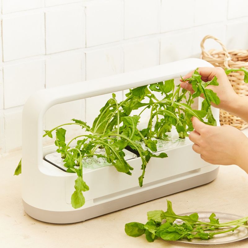 그릇에 파스타를 담고 루꼴라를 듬뿍 올려 완성해주세요. 먹기 직전 골고루 섞어 맛있게 즐겨주세요.
(tip. 기호에 따라 파마산 치즈 등을 뿌려도 좋아요)