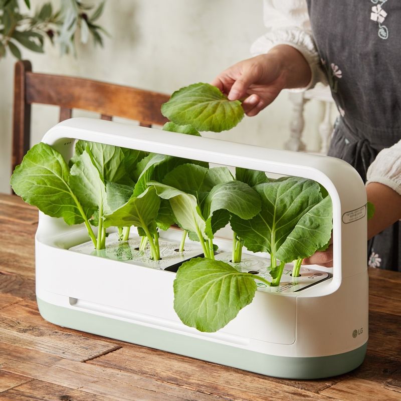 끓는 물에 소금 1작은술을 넣고 케일을 30초 정도 데친 후 케일 데친 물 1/2컵과 케일을 믹서로 갈아주세요.
(tip. 물을 넉넉히 끓여 면 삶을 때에도 사용하면 좋아요)