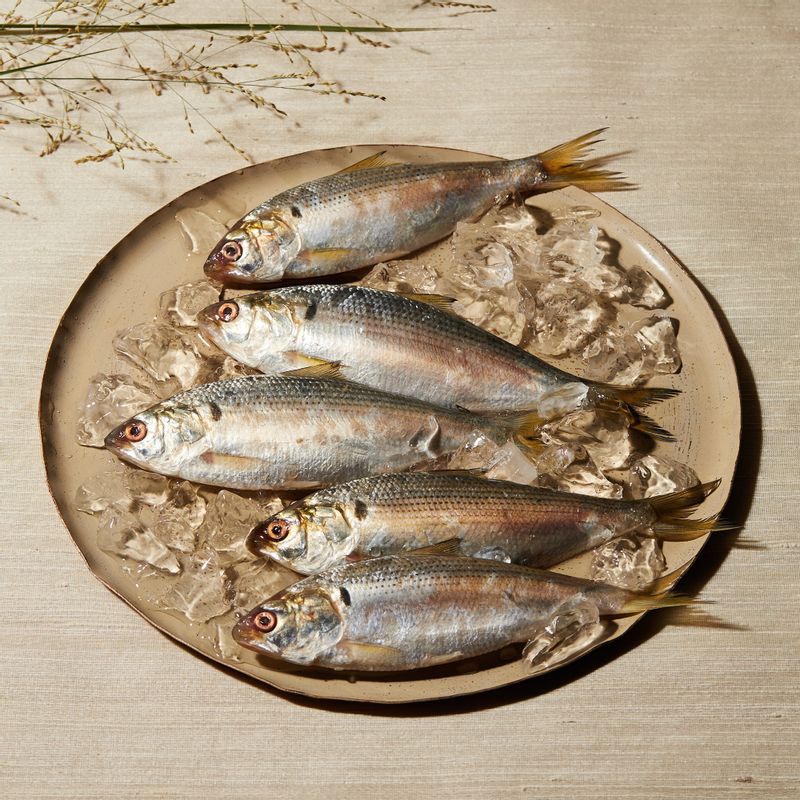 전어튀김을 위한 재료 이미지로 전어,튀김가루,소금,식용유,레몬(생략 가능) 등으로 구성 되어있습니다.