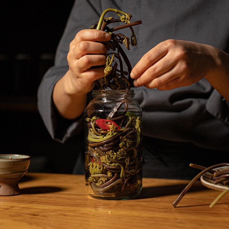 병에 고사리와 어슷 썬 고추를 담고 식힌 장아찌 간장을 부어 주세요.