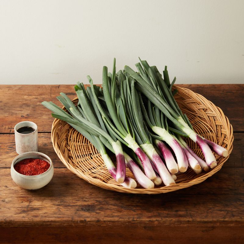 양대파 겉절이을 위한 재료 이미지로 자색 양대파,참기름 등으로 구성 되어있습니다.