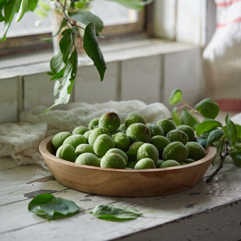 매실청을 위한 재료 이미지로 청매실,설탕 등으로 구성 되어있습니다.