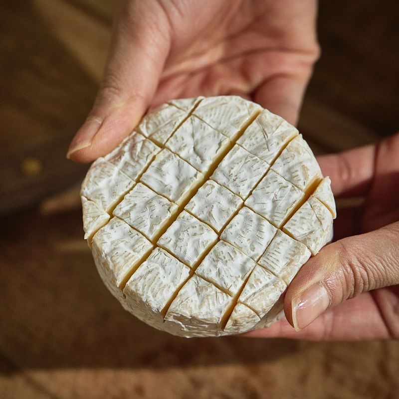 브리치즈에 칼집을 넣어주세요. 마늘은 편을 썰어주세요.