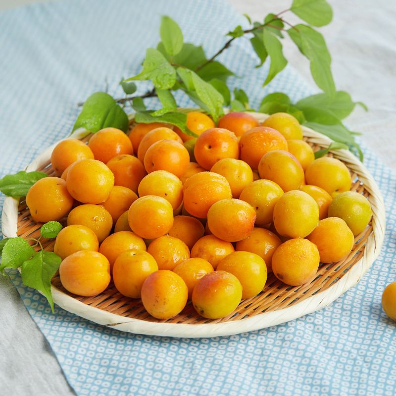 황매실청을 위한 재료 이미지로 유기농 황매실,설탕 등으로 구성 되어있습니다.