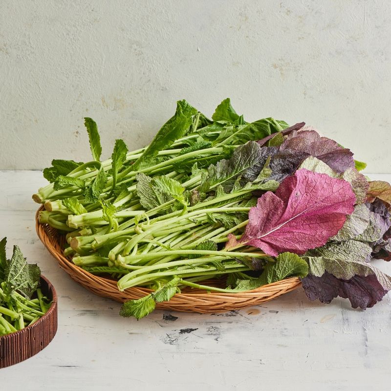 홍갓물김치을 위한 재료 이미지로 홍갓,무,청양고추,양파,사과 등으로 구성 되어있습니다.