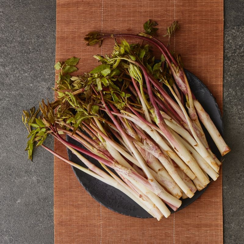 두릅튀김을 위한 재료 이미지로 두릅,튀김가루,식용유 등으로 구성 되어있습니다.