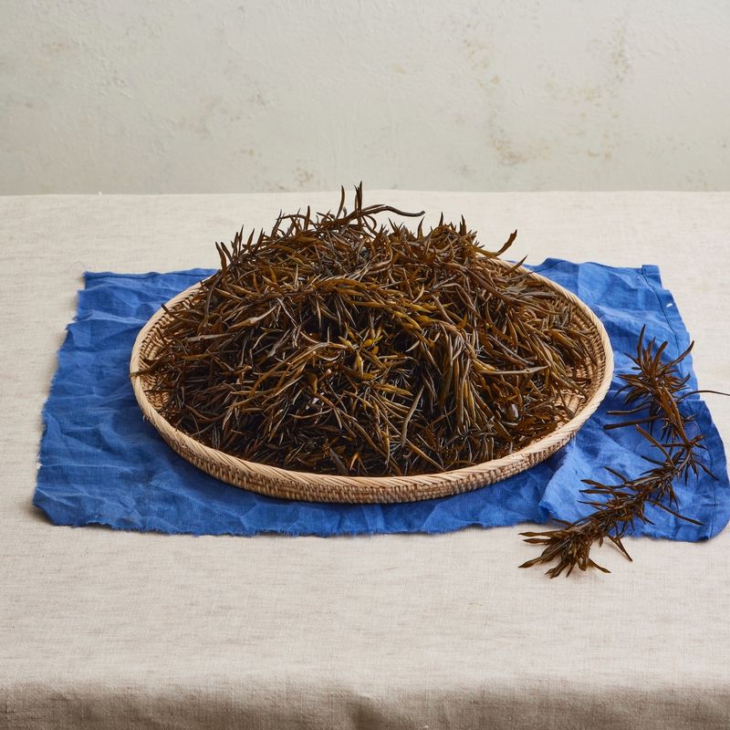 톳무침 을 위한 재료 이미지로 톳,다진 대파,다진 마늘 등으로 구성 되어있습니다.