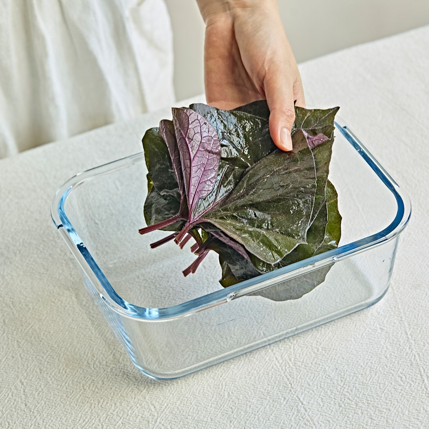밀폐용기나 병에 고구마잎을 넣고 절임 재료를 부은 후 냉장고에서 숙성 후 맛있게 즐겨주세요.
