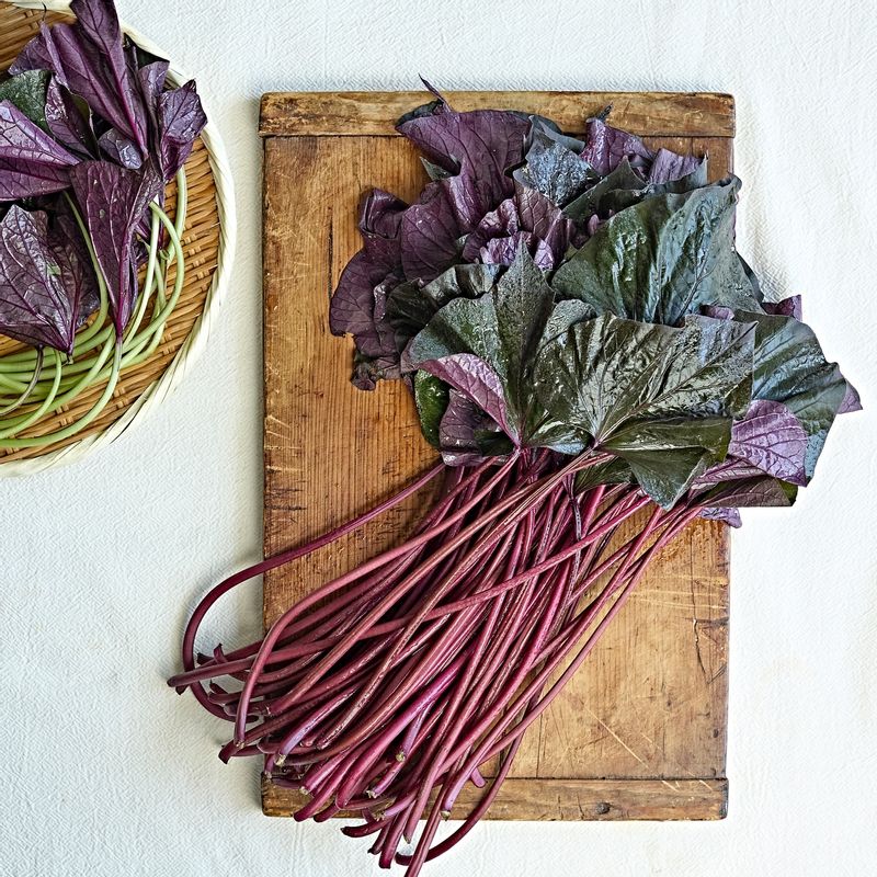 고구마줄기 볶음을 위한 재료 이미지로 고구마줄기,양파,다진 마늘,들깨가루,들기름 등으로 구성 되어있습니다.