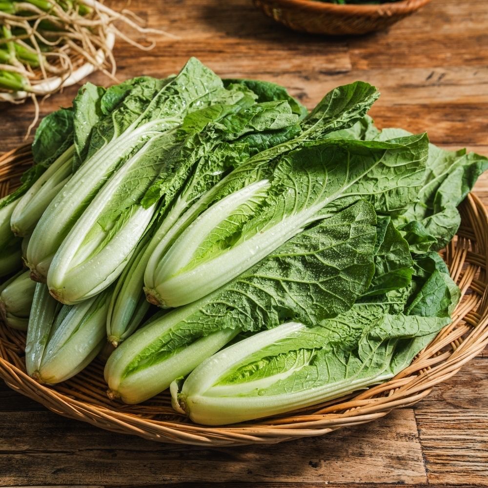 얼갈이 된장무침을 위한 재료 이미지로 데친얼갈이,된장,고춧가루,국간장,참기름 등으로 구성 되어있습니다.