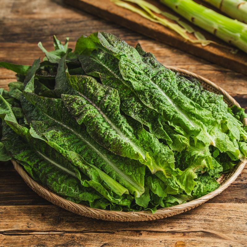 궁채잎나물을 위한 재료 이미지로 궁채잎,소금 등으로 구성 되어있습니다.