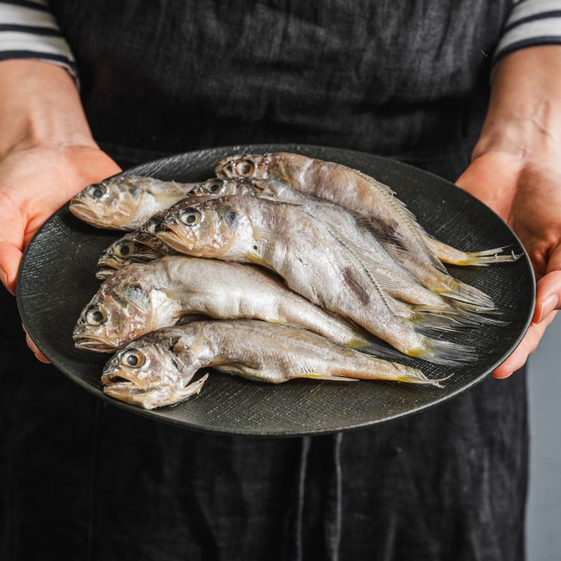 굴비조림 을 위한 재료 이미지로 굴비,감자,양파,대파,멸치육수 등으로 구성 되어있습니다.