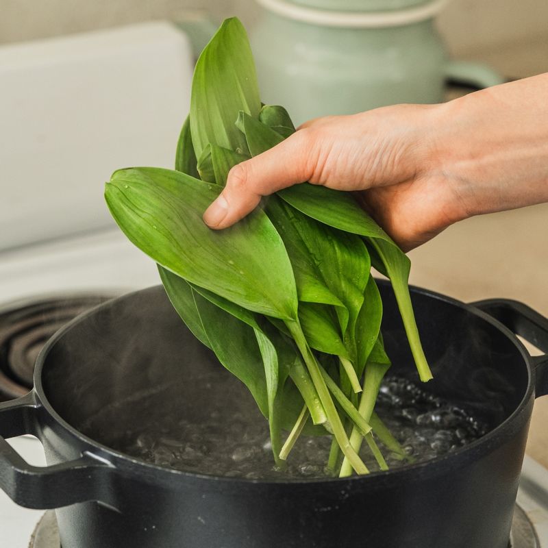 줄기명이는 깨끗이 씻은 후 끓는 물에 30초간 살짝 데쳐주세요.