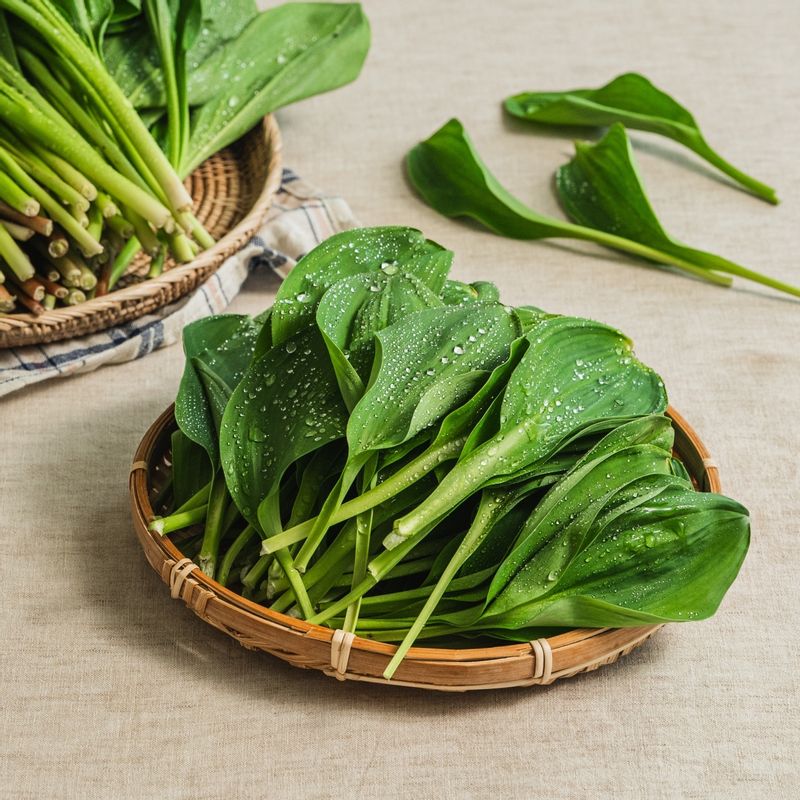 명이나물 장아찌 을 위한 재료 이미지로 명이나물 등으로 구성 되어있습니다.