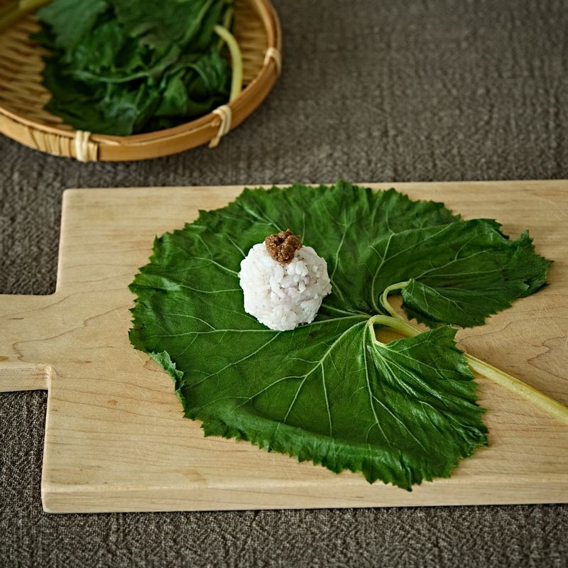 접시에 머위잎을 한장 펼친 후 밥 적당량과 쌈장을 넣어 예쁘게 돌돌 말아주세요.
(tip. 기호에 따라 청양고추나 슬라이스 마늘 등을 넣어 함께 만드셔도 된답니다)