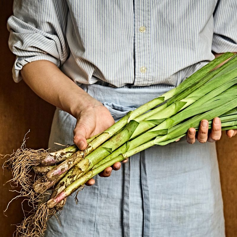 잎마늘 버섯볶음 을 위한 재료 이미지로 잎마늘,표고버섯,다진 마늘,간장,굴소스 등으로 구성 되어있습니다.