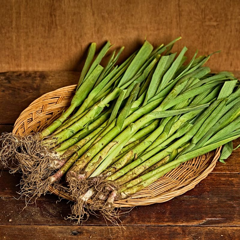 잎마늘 무침 을 위한 재료 이미지로 마늘잎,초고추장,고추장,깨소금,참기름 등으로 구성 되어있습니다.