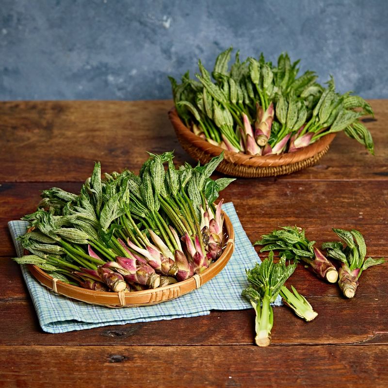 엄나무순 나물무침 을 위한 재료 이미지로 엄나무순,소금,다진 마늘,깨소금,들기름 등으로 구성 되어있습니다.