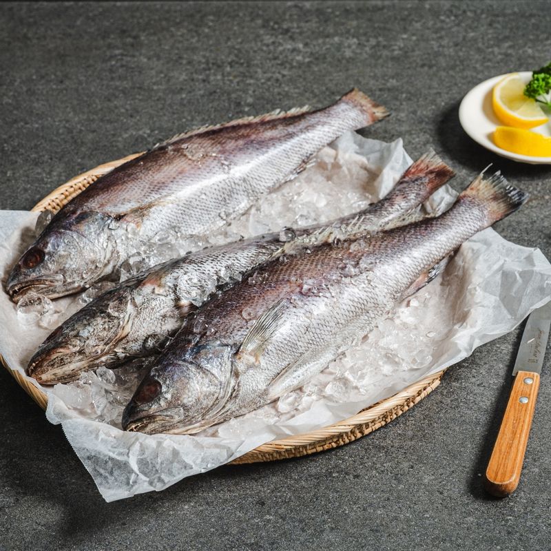 통민어구이 을 위한 재료 이미지로 통민어,굵은소금,식용유,레몬 슬라이스 등으로 구성 되어있습니다.