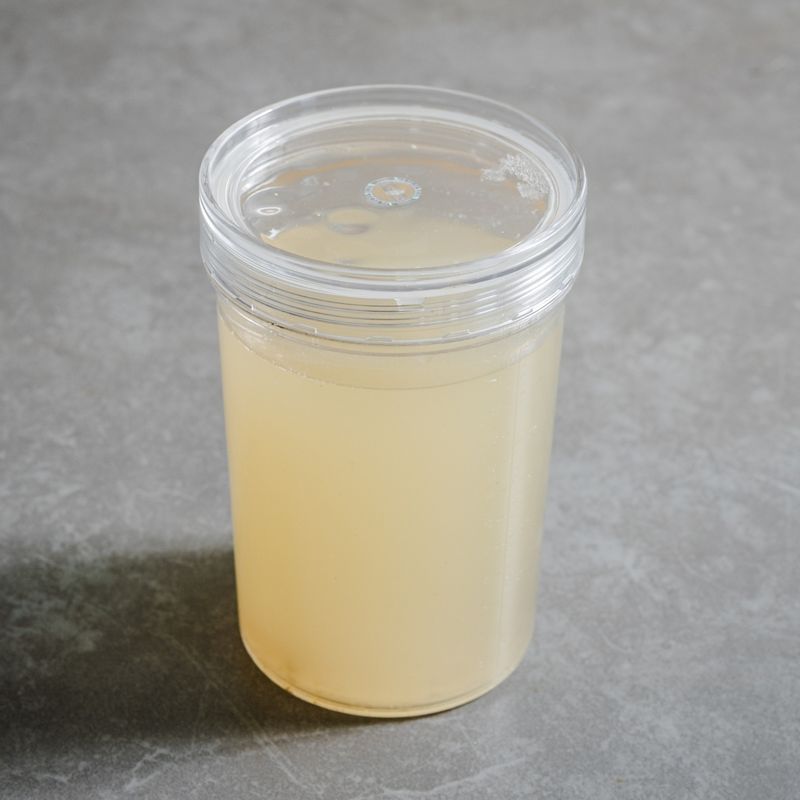 디포리육수, 시원한국물, 감칠맛, 밑국물, 집밥레시피, 찌개육수, 국수육수, 간단육수, 20분육수, 집밥팁