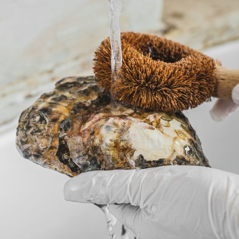 굴은 솔로 껍질 겉면의 이물질을 깨끗이 문질러 제거해주세요.