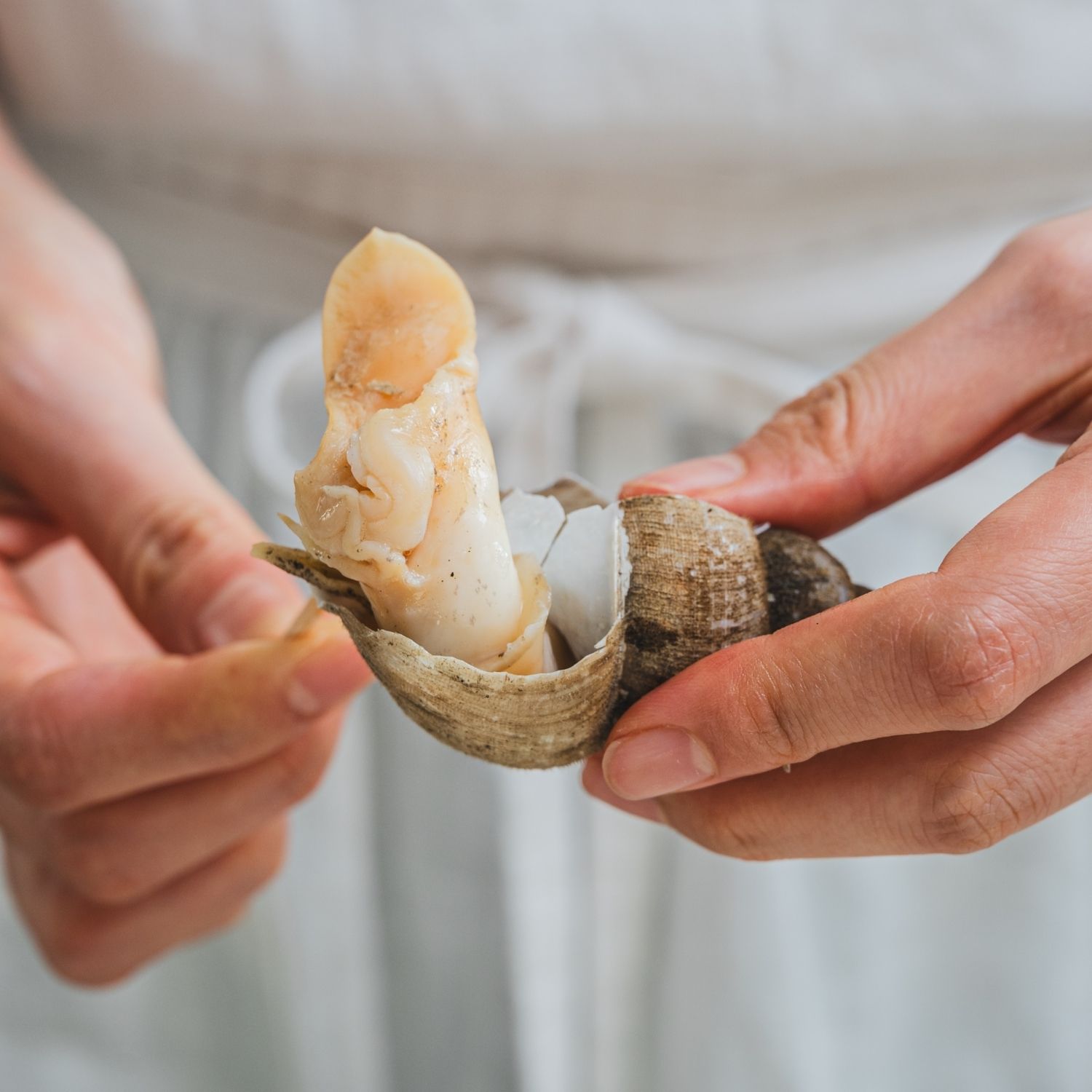 자숙 흑골뱅이는 꼬치로 살만 뺀 후 반으로 잘라주세요.
