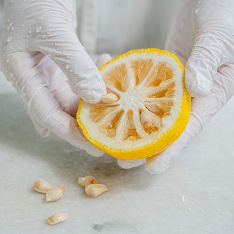 꼭지를 떼고 반으로 갈라 씨를 제거한 후, 껍질과 과육을 얇게 썰어주세요.