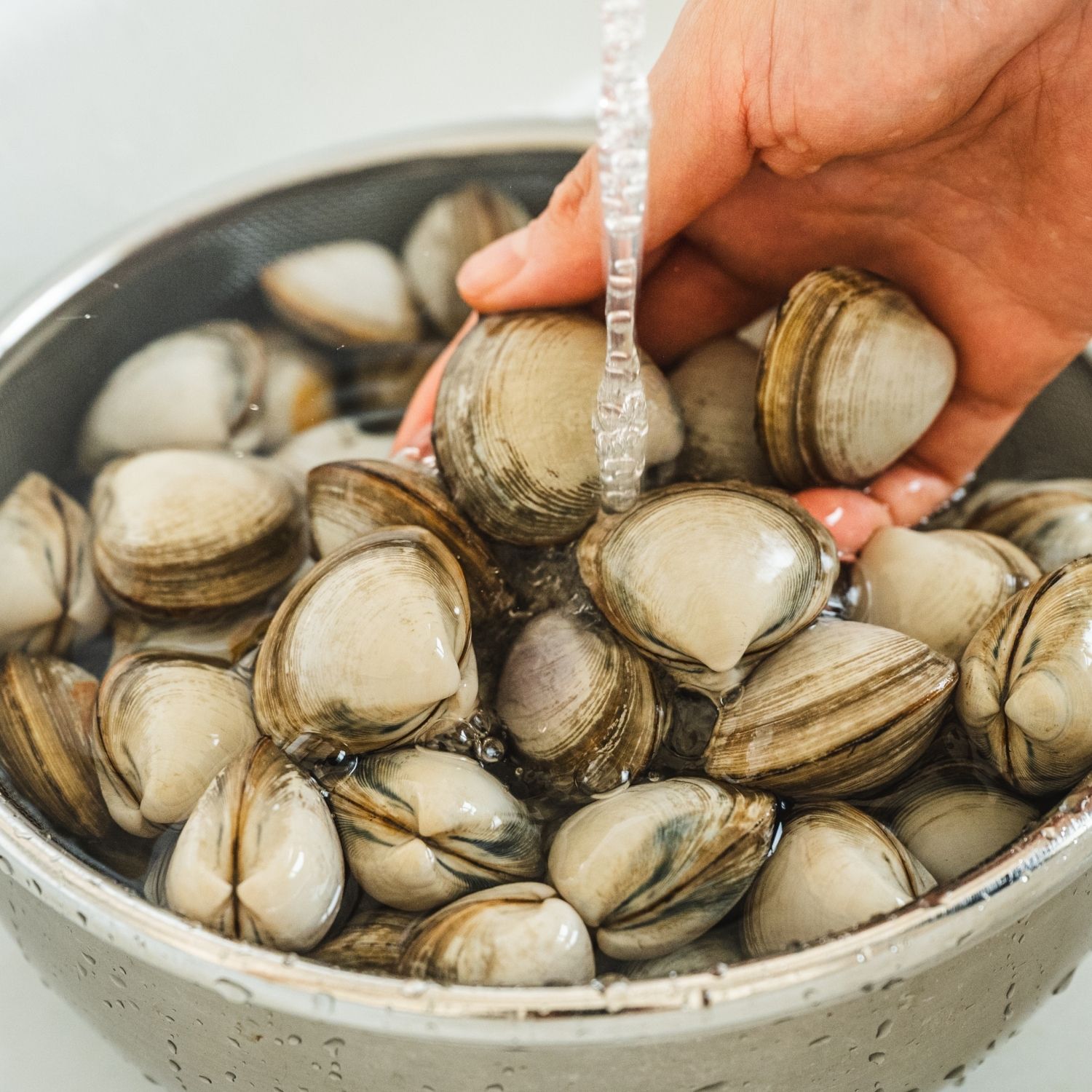 동죽은 해감 후 흐르는 물에 깨끗하게 헹궈 준비해주세요.