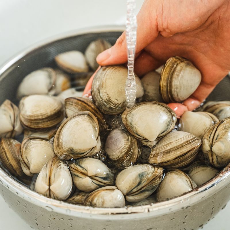 동죽은 해감 후 흐르는 물에 깨끗하게 헹궈 준비해주세요.