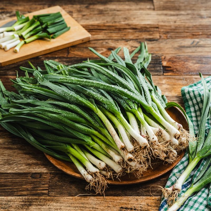 풋마늘 건새우 간장볶음을 위한 재료 이미지로 풋마늘,건새우,참기름,통깨 등으로 구성 되어있습니다.