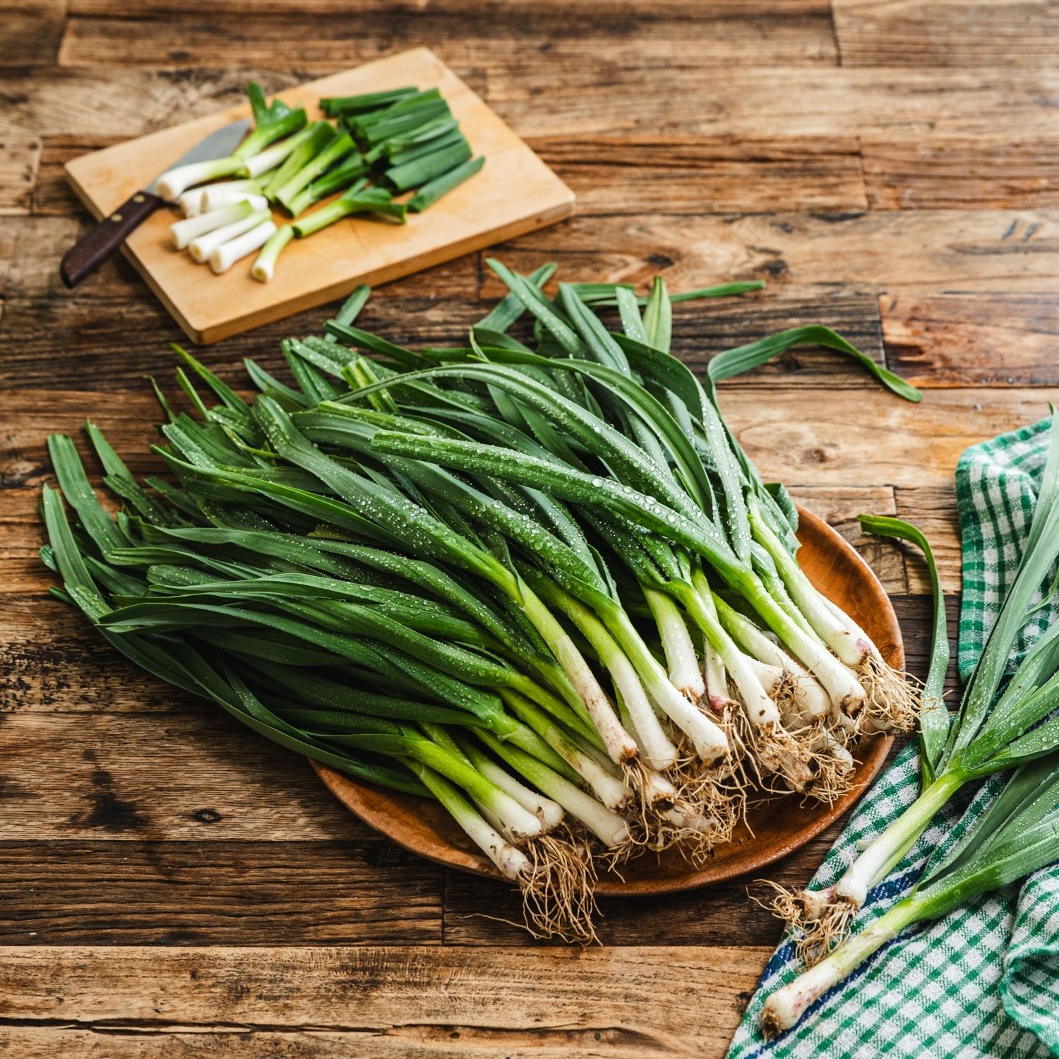 풋마늘 고추장 무침 을 위한 재료 이미지로 풋마늘,고추장,설탕,참기름,식초 등으로 구성 되어있습니다.