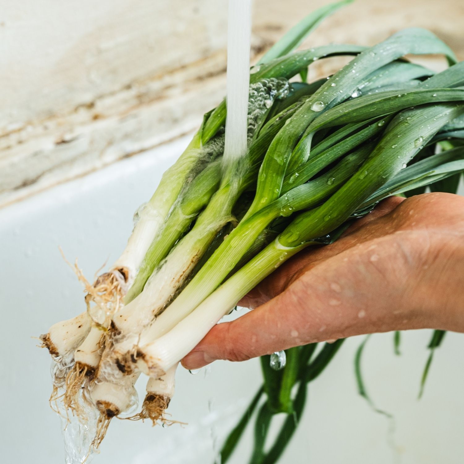 풋마늘은 깨끗이 씻고 6cm 길이로 썰어주세요.