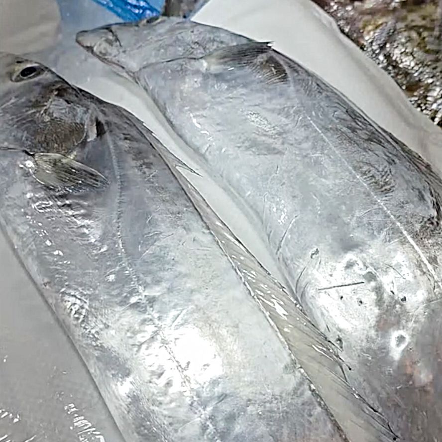 Step 1. 갈치 살 때 주의점 Step 2