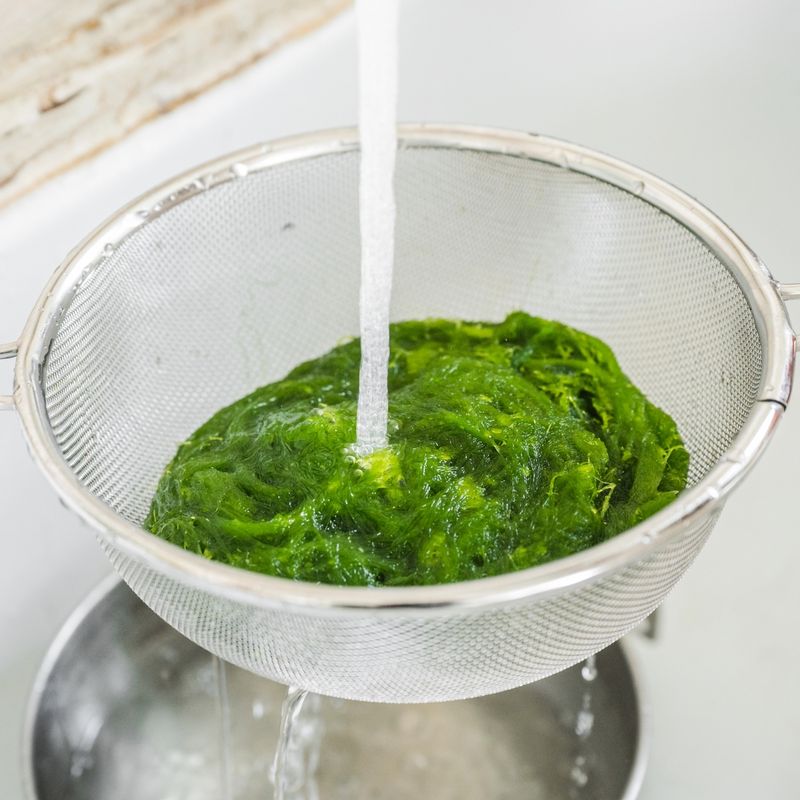 감태는 흐르는 물에 살살 헹궈 이물질을 제거한 뒤 체에 밭쳐 물기를 빼주세요. 먹기 좋은 크기로 썰어주세요.