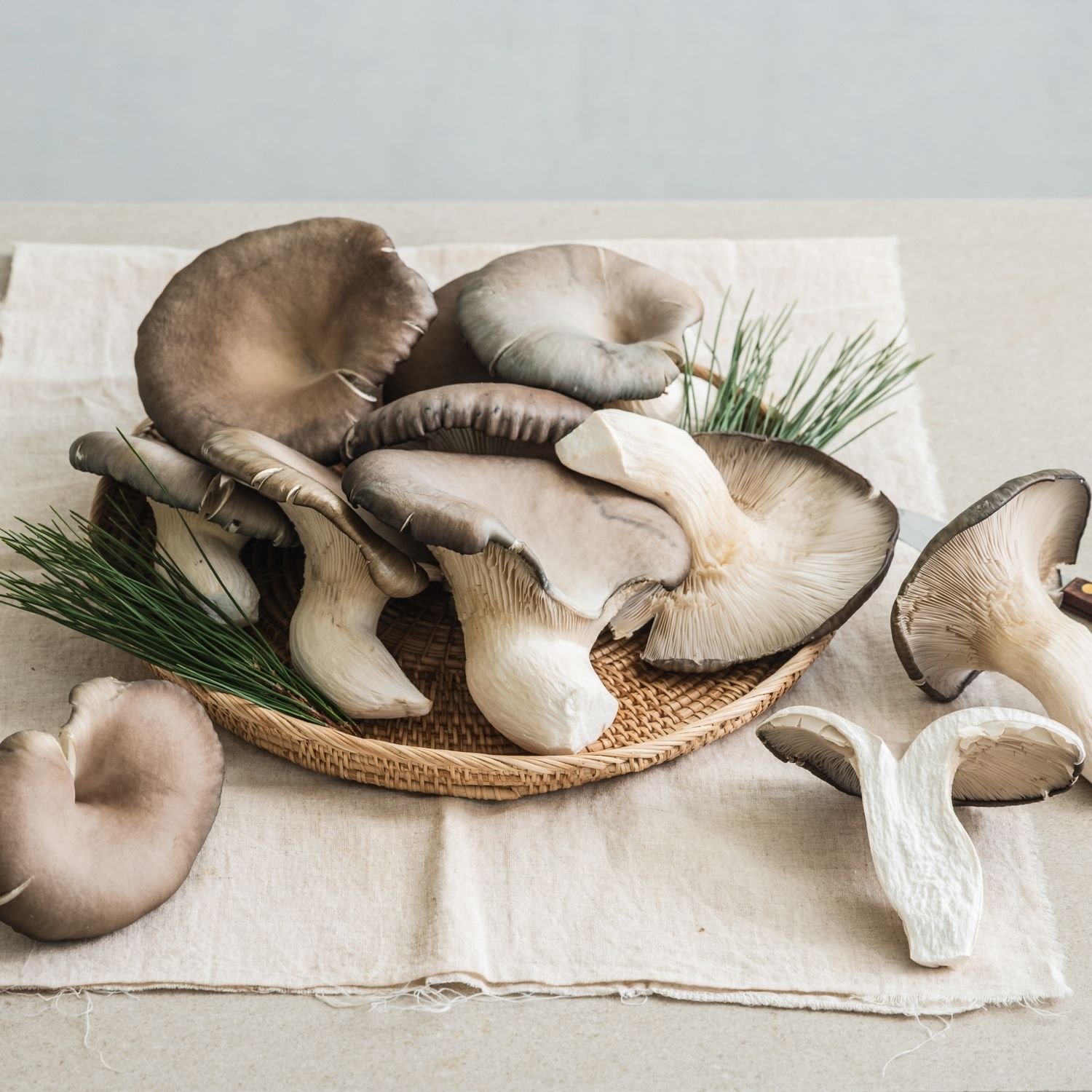 대왕 느타리버섯 튀김 을 위한 재료 이미지로 대왕 느타리버섯,튀김가루,냉수,식용유,소금 등으로 구성 되어있습니다.