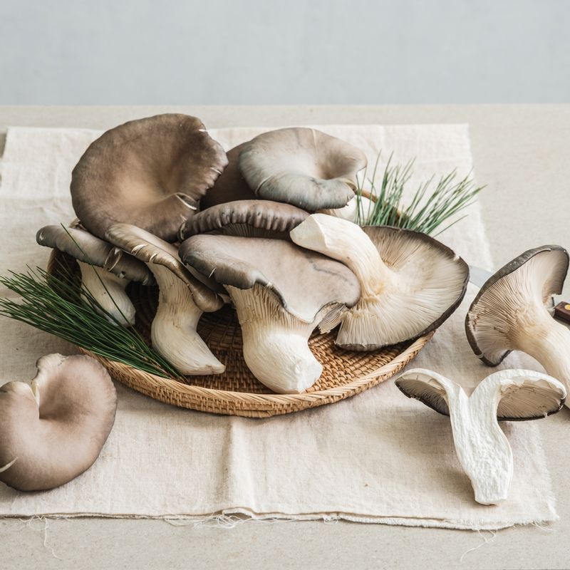 대왕 느타리버섯 튀김 을 위한 재료 이미지로 대왕 느타리버섯,튀김가루,냉수,식용유,소금 등으로 구성 되어있습니다.