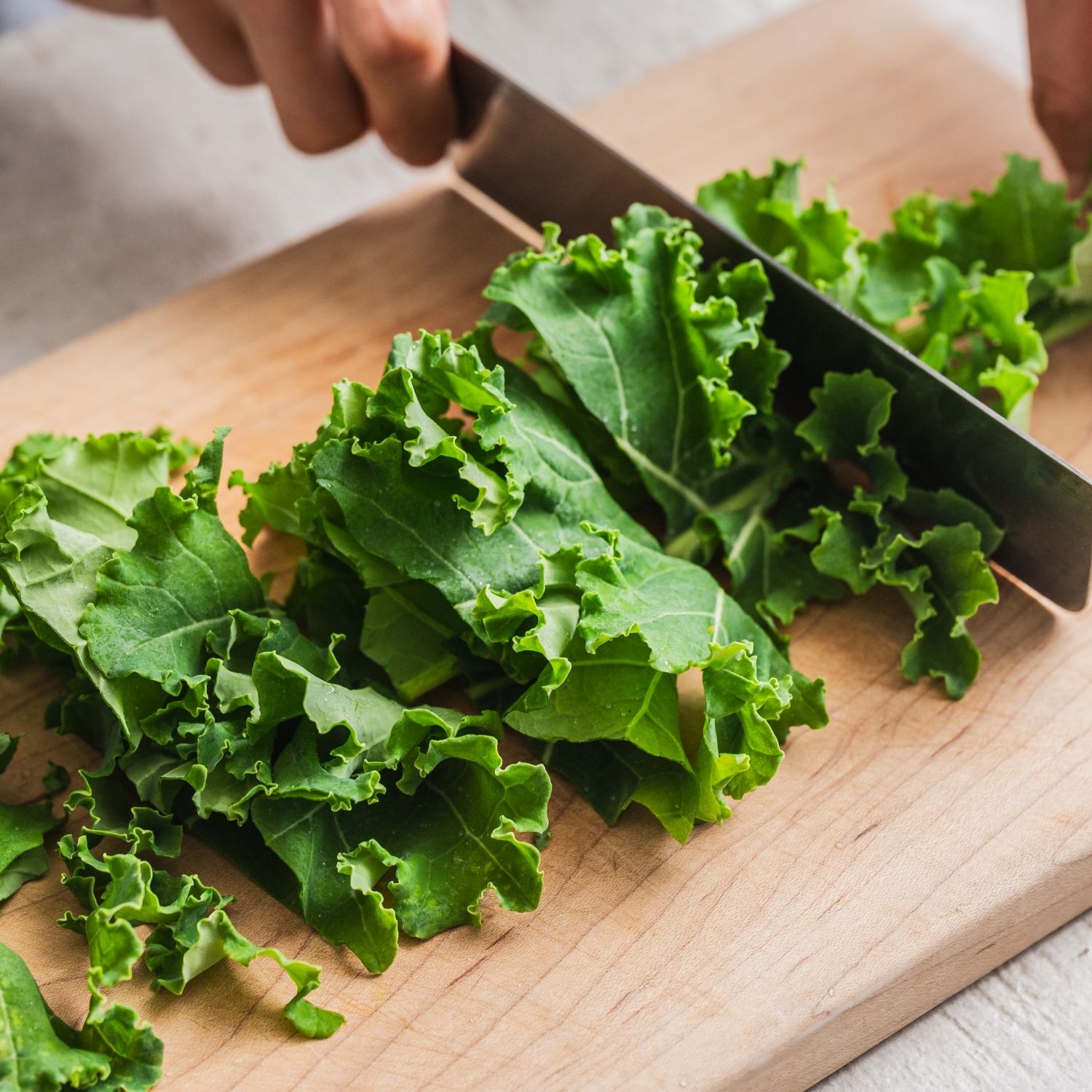 컬리케일은 질긴 줄기를 제거하고 잎만 준비해 적당한 크기로 잘라주세요.